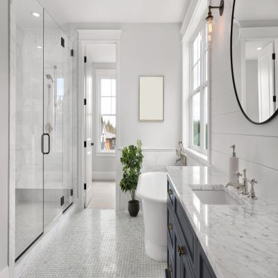Vanity Fueled Master Bathroom design