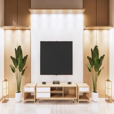 Modern TV Unit Design in Beige