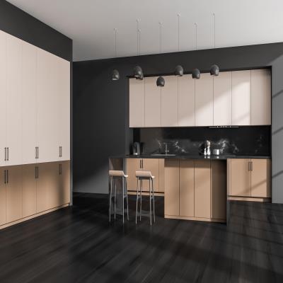 New Modular Kitchen Design