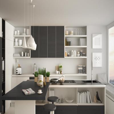 Chic Grey and White Modular Kitchen