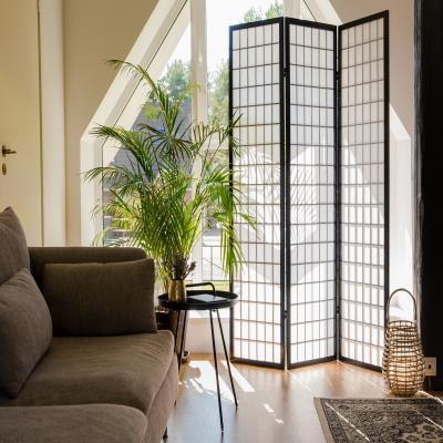 Living Room Design Featuring A Room Divider