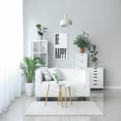 Tropical Living Room in Green and White