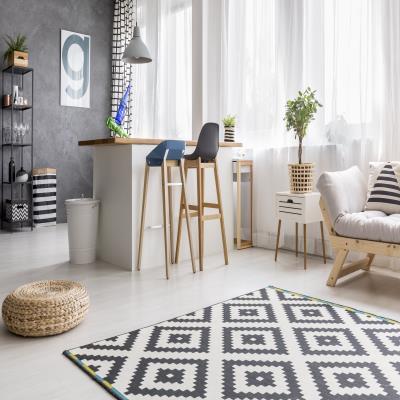 Geometric Rug in Living Room