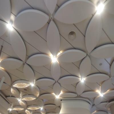 Unique False Ceiling Kitchen Techniques