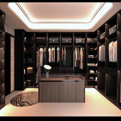 Luxurious Black Wardrobe Design