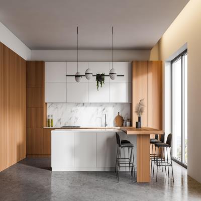 Modern Parallel Modular Kitchen