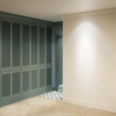 Contemporary Green Wardrobe Design