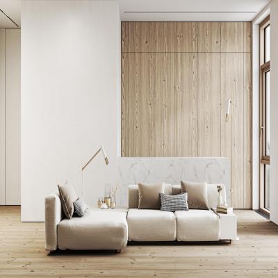 Minimalistic Living Room in Beige