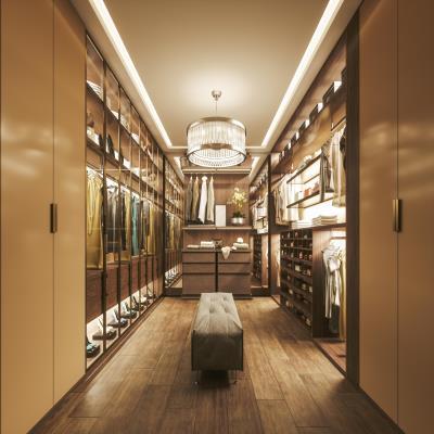 Modern Spacious Wardrobe Design