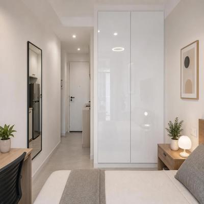 Contemporary 2 Door Wardrobe Design With A Glossy Finish