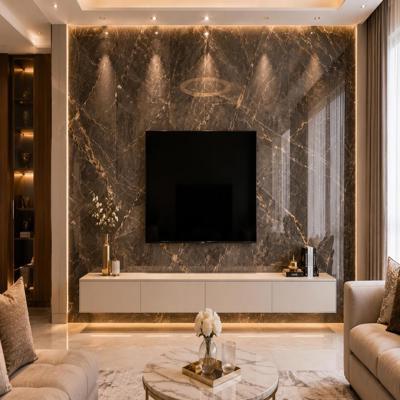 Contemporary TV Unit Design With Glossy Stone Wall Tiles