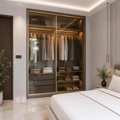 Modern Glass 2 Door Sliding Door Wardrobe Design