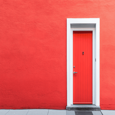 Modern Matte Finish Single Swing Door Design