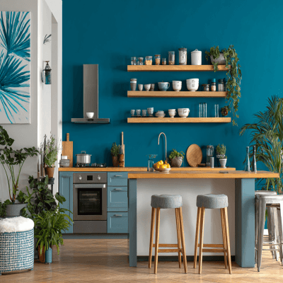 Tropical White and Blue Wall Colour Combination for Kitchen with Open Shelves and Steel Appliances
