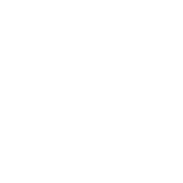 video-call-icon
